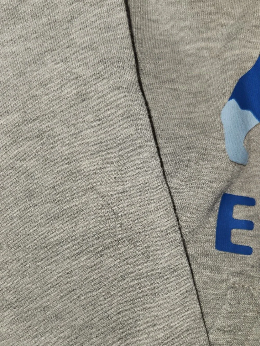 Eddie Bauer Kids Explore Bear Graphic Hoodie Gray Size XS 5/6